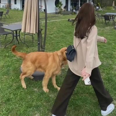 编剧风云